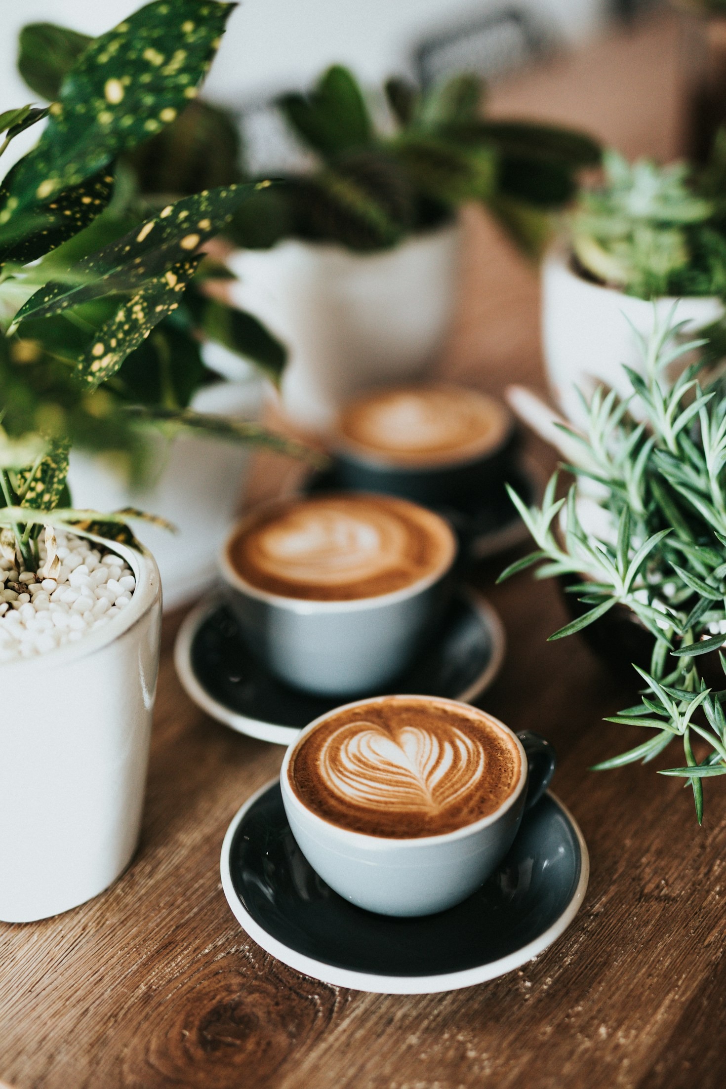 Guide til bæredygtige kaffevaner